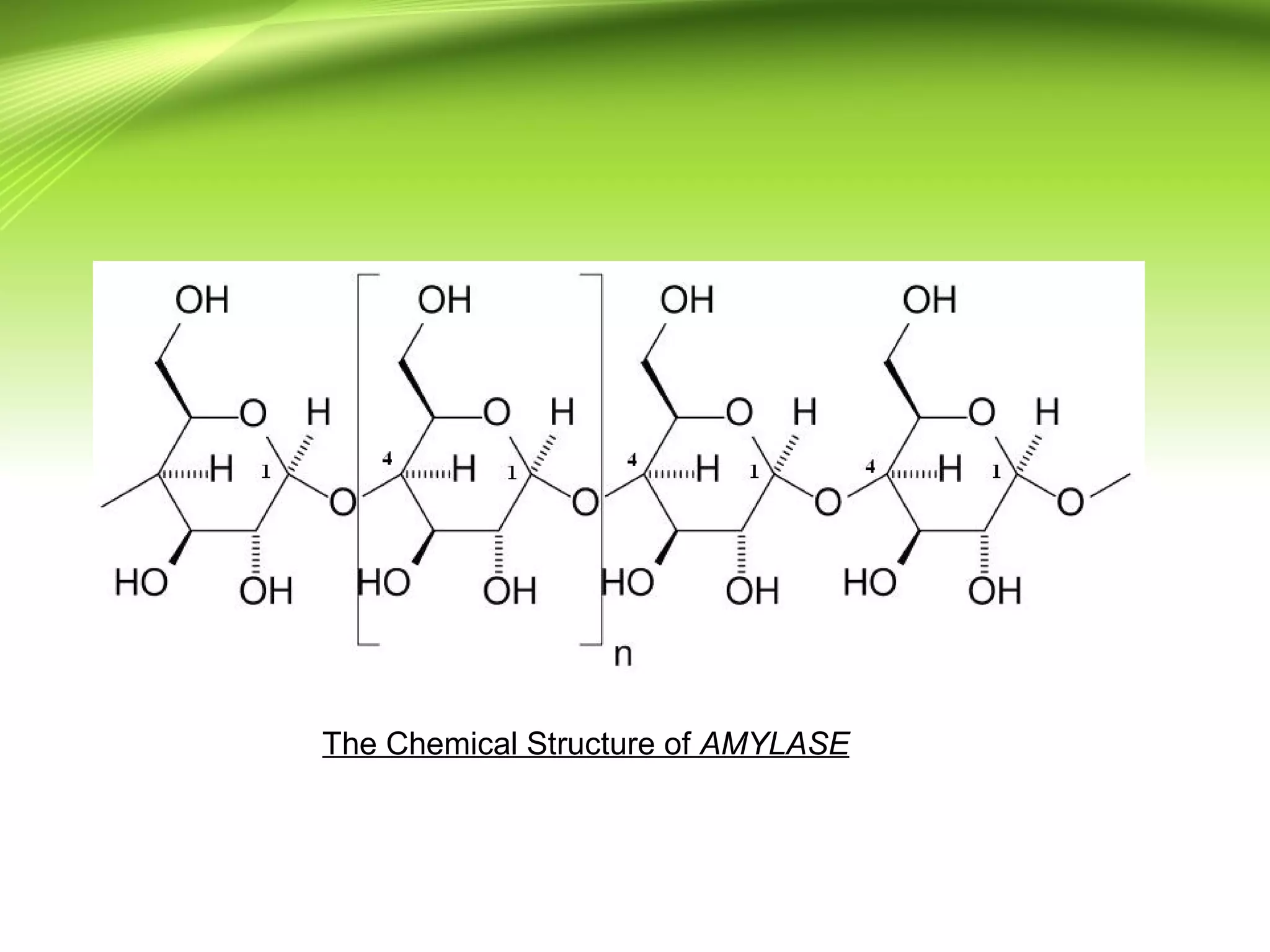 The Chemical Structure of AMYLASE
 