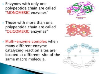  Enzymes with only one
polypeptide chain are called
“MONOMERIC enzymes”
 Those with more than one
polypeptide chain are called
“OLIGOMERIC enzymes”
 Multi-enzyme complex when
many different enzyme
catalyzing reaction sites are
located at different site of the
same macro molecule.
 
