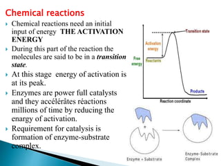 Chemical reactions
 Chemical reactions need an initial
input of energy THE ACTIVATION
ENERGY
 During this part of the reaction the
molecules are said to be in a transition
state.
 At this stage energy of activation is
at its peak.
 Enzymes are power full catalysts
and they accélérâtes réactions
millions of time by reducing the
enargy of activation.
 Requirement for catalysis is
formation of enzyme-substrate
complex.
 