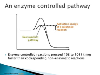  Enzyme controlled reactions proceed 108 to 1011 times
faster than corresponding non-enzymatic reactions.
© 2007 Paul Billiet ODWS
 
