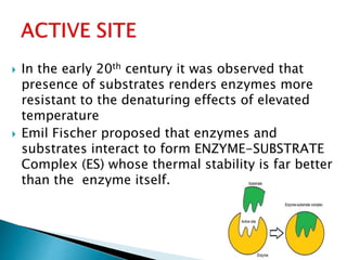  In the early 20th century it was observed that
presence of substrates renders enzymes more
resistant to the denaturing effects of elevated
temperature
 Emil Fischer proposed that enzymes and
substrates interact to form ENZYME-SUBSTRATE
Complex (ES) whose thermal stability is far better
than the enzyme itself.
 