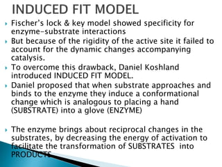  Fischer’s lock & key model showed specificity for
enzyme-substrate interactions
 But because of the rigidity of the active site it failed to
account for the dynamic changes accompanying
catalysis.
 To overcome this drawback, Daniel Koshland
introduced INDUCED FIT MODEL.
 Daniel proposed that when substrate approaches and
binds to the enzyme they induce a conformational
change which is analogous to placing a hand
(SUBSTRATE) into a glove (ENZYME)
 The enzyme brings about reciprocal changes in the
substrates, by decreasing the energy of activation to
facilitate the transformation of SUBSTRATES into
PRODUCTS
 