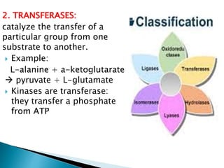 2. TRANSFERASES:
catalyze the transfer of a
particular group from one
substrate to another.
 Example:
L-alanine + a-ketoglutarate
 pyruvate + L-glutamate
 Kinases are transferase:
they transfer a phosphate
from ATP
 