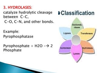 3. HYDROLASES:
catalyze hydrolytic cleavage
between C-C,
C-O, C-N, and other bonds.
Example:
Pyrophosphatase
Pyrophosphate + H2O - 2
Phosphate
 
