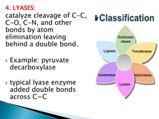 4. LYASES:
catalyze cleavage of C-C,
C-O, C-N, and other
bonds by atom
elimination leaving
behind a double bond.
 Example: pyruvate
decarboxylase
 typical lyase enzyme
added double bonds
across C=C
 
