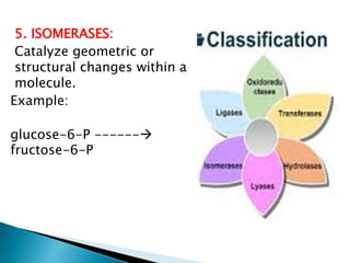 5. ISOMERASES:
Catalyze geometric or
structural changes within a
molecule.
Example:
glucose-6-P ------
fructose-6-P
 