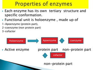  Each enzyme has its own tertiary structure and
specific conformation.
 Functional unit is holoenzyme , made up of
1-Apoenzyme (protein part),
2-coenzyme (non protein part)
3-cofactor
 Active enzyme protein part non-protein part
non-protein part
Holoenzyme Apoenzyme coenzyme
cofactor
 
