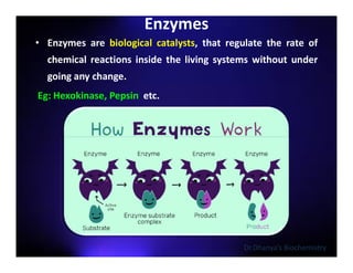 Enzymes | classification| Factors affecting enzyme activity | PDF