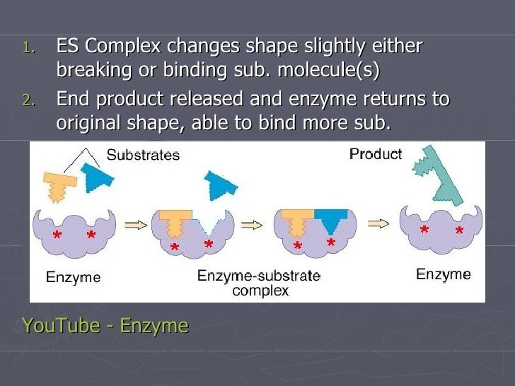 Enzymes