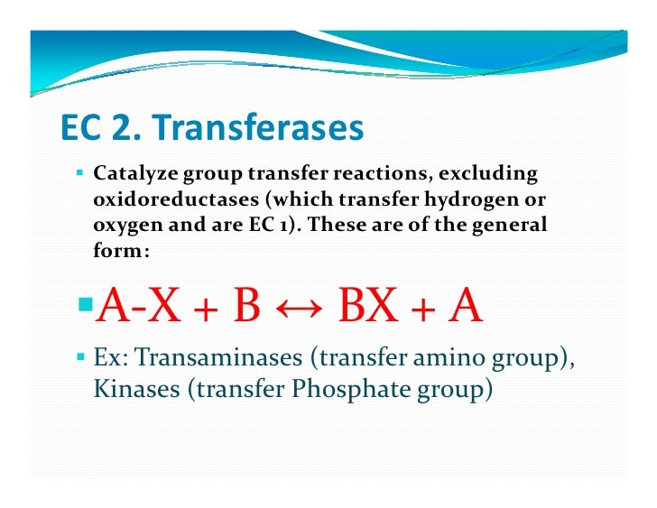 Enzymes