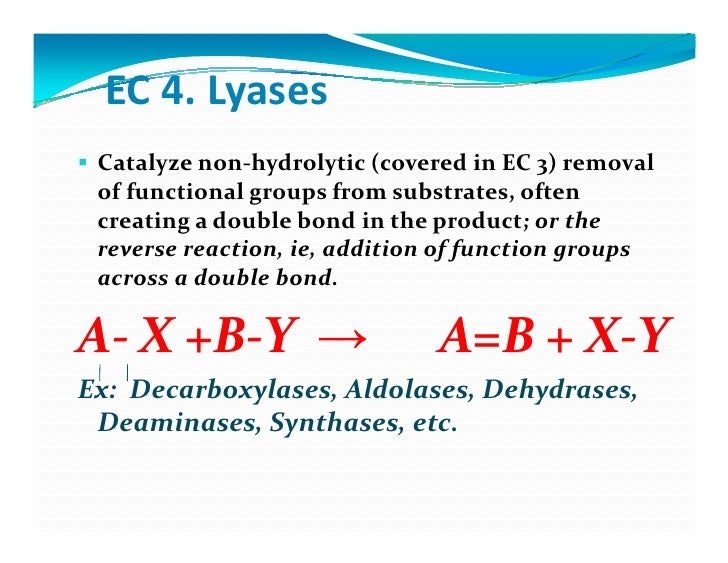 Enzymes