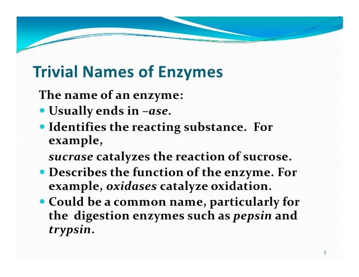 Enzymes
