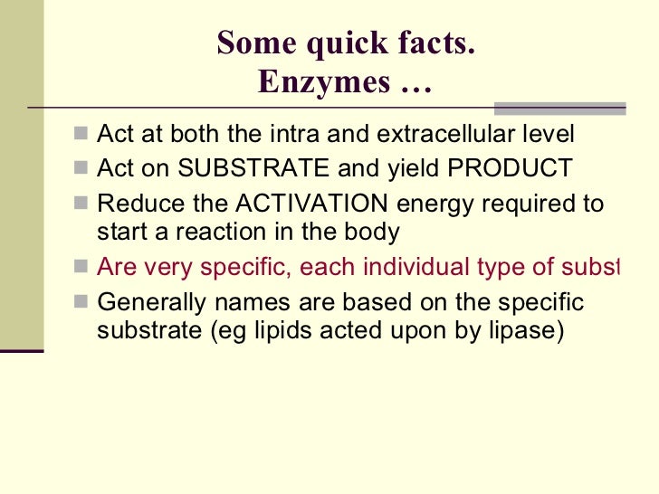 06 Enzymes