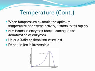 Temperature (Cont.)When temperature exceeds the optimum temperature of enzyme activity, it starts to fall rapidlyH-H bonds in enzymes break, leading to the denaturation of enzymesUnique 3-dimensional structure lostDenaturation is irreversible