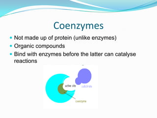 CoenzymesNot made up of protein (unlike enzymes)Organic compoundsBind with enzymes before the latter can catalyse reactions