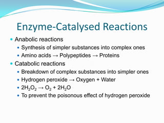 Enzyme-Catalysed ReactionsAnabolic reactionsSynthesis of simpler substances into complex onesAmino acids -> Polypeptides -> ProteinsCatabolic reactionsBreakdown of complex substances into simpler onesHydrogen peroxide -> Oxygen + Water2H2O2-> O2 + 2H2OTo prevent the poisonous effect of hydrogen peroxide