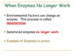 Enzymes