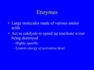 Enzymes ,[object Object],[object Object],[object Object],[object Object]