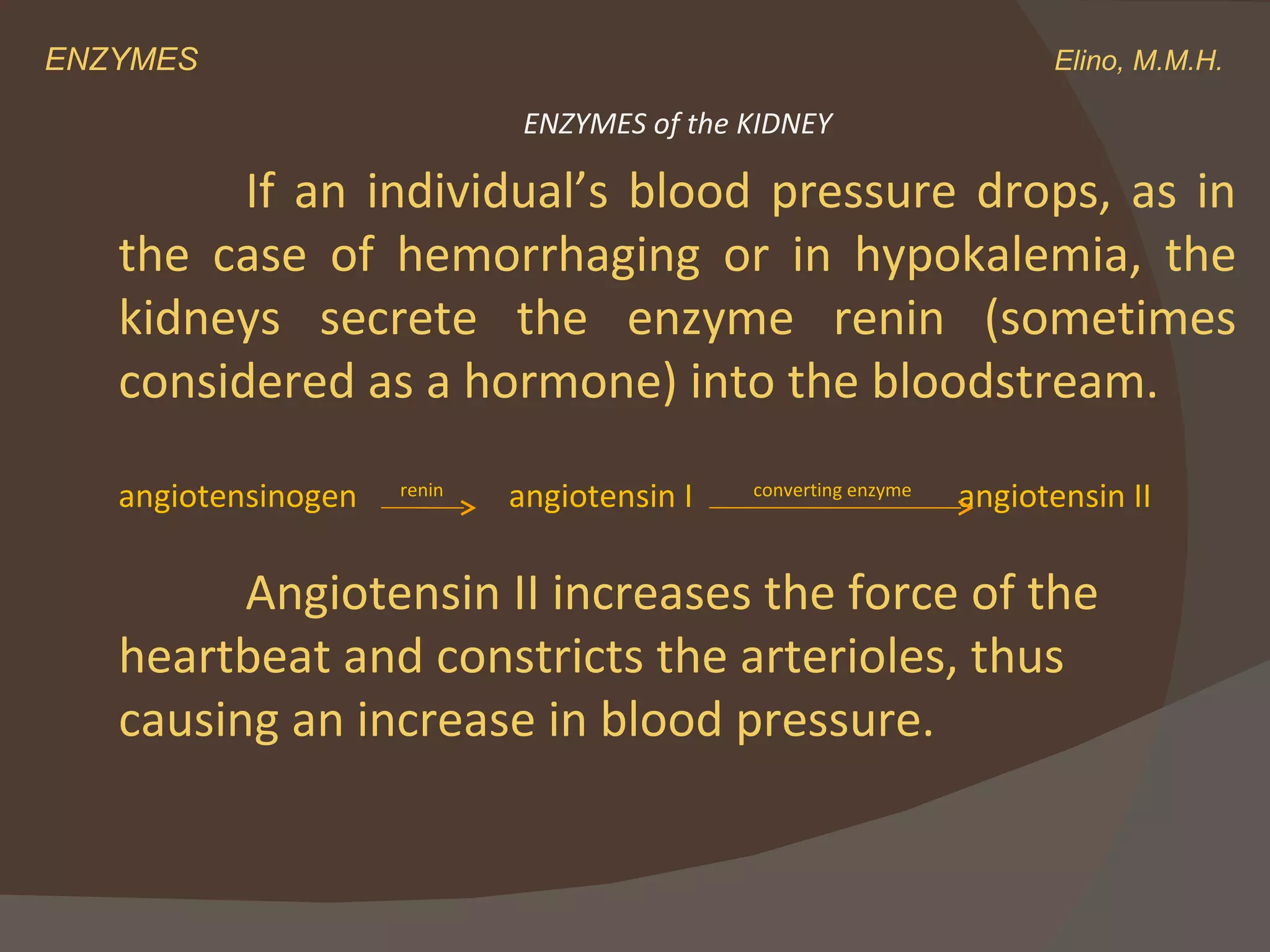 ENZYMES    Elino, M.M.H. If an individual’s blood pressure drops, as in the case of hemorrhaging or in hypokalemia, the kidneys secrete the enzyme renin (sometimes considered as a hormone) into the bloodstream. angiotensinogen  renin    angiotensin I  converting enzyme  angiotensin II Angiotensin II increases the force of the heartbeat and constricts the arterioles, thus causing an increase in blood pressure.  ENZYMES of the KIDNEY 
