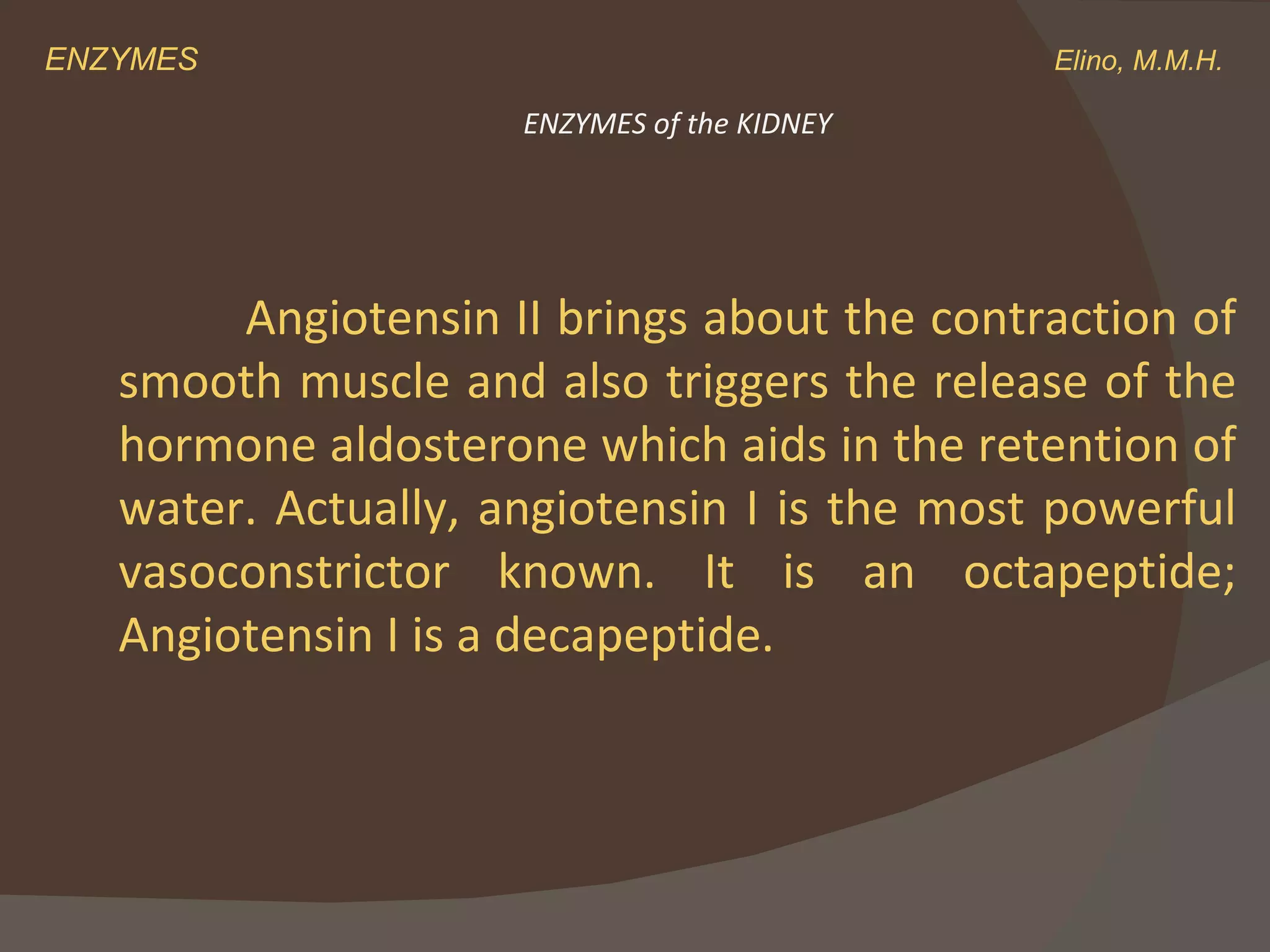 ENZYMES    Elino, M.M.H. Angiotensin II brings about the contraction of smooth muscle and also triggers the release of the hormone aldosterone which aids in the retention of water. Actually, angiotensin I is the most powerful vasoconstrictor known. It is an octapeptide; Angiotensin I is a decapeptide. ENZYMES of the KIDNEY 