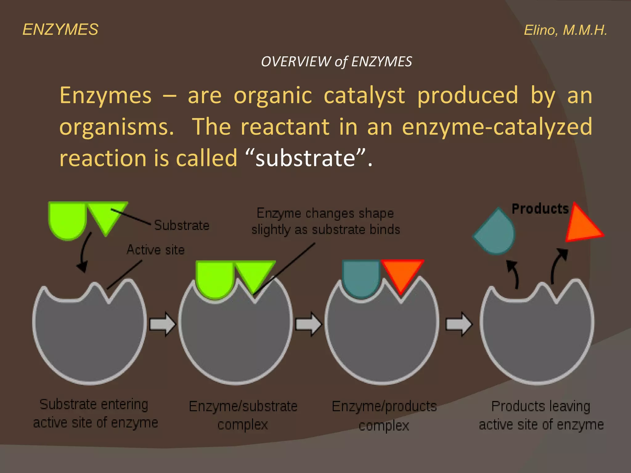 ENZYMES    Elino, M.M.H. Enzymes – are organic catalyst produced by an organisms.  The reactant in an enzyme-catalyzed reaction is called  “substrate”. OVERVIEW of ENZYMES 