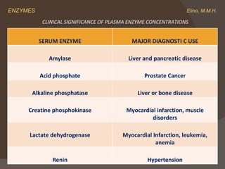 Introduction to Enzymes | PPT