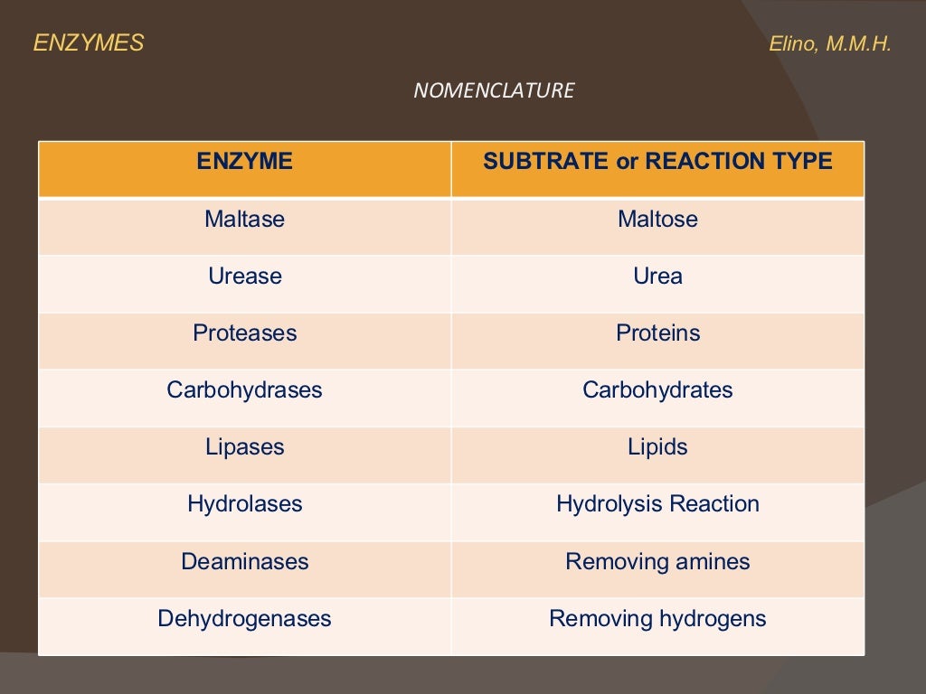 Introduction to Enzymes