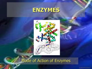 ENZYMES




Mode of Action of Enzymes
                            ALBIO9700/2006JK
 