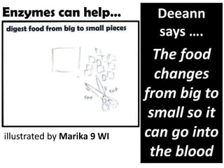 Enzymes can help…              Deeann
                               says ….
                               The food
                               changes
                             from big to
                              small so it
illustrated by Marika 9 WI   can go into
                              the blood
 