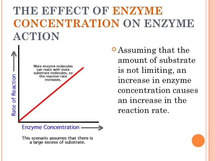 the effects that enzymes can have on substrates