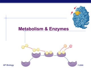 Metabolism & Enzymes




AP Biology                          2007-2008
 