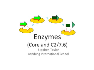 3.6 Enzymes (Core and C2/7.6) 