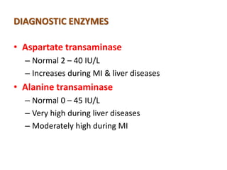 Transamine Iv Stat Enzymes | PDF