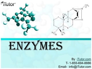 Enzymes
T- 1-855-694-8886
Email- info@iTutor.com
By iTutor.com
 