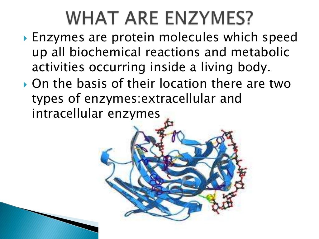 Enzymes