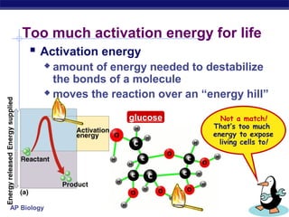 AP Biology
Too much activation energy for life
 Activation energy
 amount of energy needed to destabilize
the bonds of a molecule
 moves the reaction over an “energy hill”
Not a match!
That’s too much
energy to expose
living cells to!
glucose
 