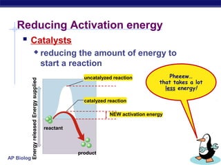 AP Biology
Reducing Activation energy
 Catalysts
 reducing the amount of energy to
start a reaction
Pheeew…
that takes a lot
less energy!
reactant
product
uncatalyzed reaction
catalyzed reaction
NEW activation energy
 