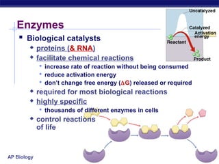AP Biology
Enzymes
 Biological catalysts
 proteins (& RNA)
 facilitate chemical reactions
 increase rate of reaction without being consumed
 reduce activation energy
 don’t change free energy (∆G) released or required
 required for most biological reactions
 highly specific
 thousands of different enzymes in cells
 control reactions
of life
 