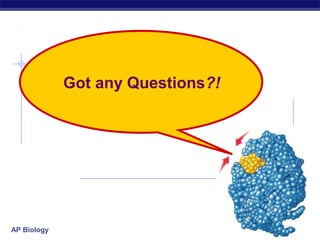 AP Biology 2007-2008
Got any Questions?!
 