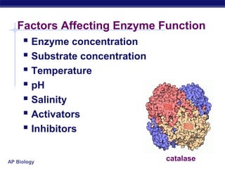 AP Biology
Factors Affecting Enzyme Function
 Enzyme concentration
 Substrate concentration
 Temperature
 pH
 Salinity
 Activators
 Inhibitors
catalase
 
