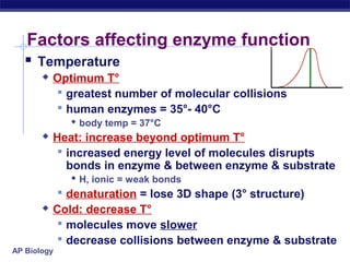 AP Biology
Factors affecting enzyme function
 Temperature
 Optimum T°
 greatest number of molecular collisions
 human enzymes = 35°- 40°C
 body temp = 37°C
 Heat: increase beyond optimum T°
 increased energy level of molecules disrupts
bonds in enzyme & between enzyme & substrate
 H, ionic = weak bonds
 denaturation = lose 3D shape (3° structure)
 Cold: decrease T°
 molecules move slower
 decrease collisions between enzyme & substrate
 