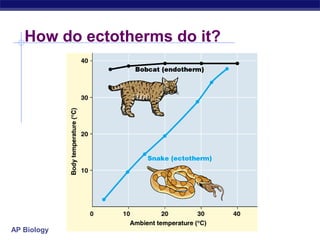 AP Biology
How do ectotherms do it?
 