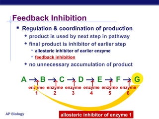 AP Biology allosteric inhibitor of enzyme 1
Feedback Inhibition
 Regulation & coordination of production
 product is used by next step in pathway
 final product is inhibitor of earlier step
 allosteric inhibitor of earlier enzyme
 feedback inhibition
 no unnecessary accumulation of product
A → B → C → D → E → F → G
enzyme
1
→
enzyme
2
→
enzyme
3
→
enzyme
4→
enzyme
5
→
enzyme
6
→
X
 