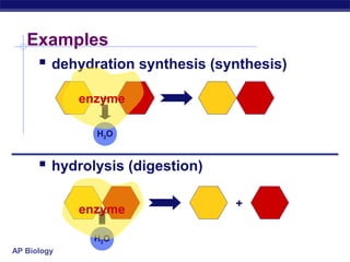 AP Biology
Examples
 dehydration synthesis (synthesis)
 hydrolysis (digestion)
+
H2O
+
H2O
enzyme
enzyme
 