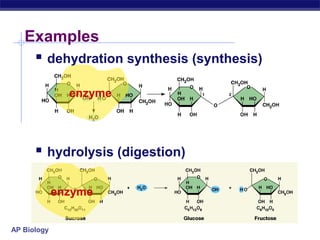 AP Biology
Examples
 dehydration synthesis (synthesis)
 hydrolysis (digestion)
enzyme
enzyme
 