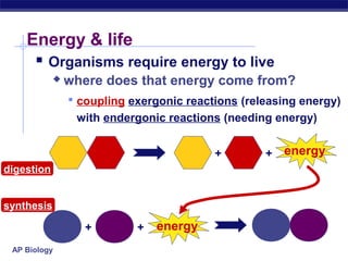 AP Biology
Energy & life
 Organisms require energy to live
 where does that energy come from?
 coupling exergonic reactions (releasing energy)
with endergonic reactions (needing energy)
+ + energy
+ energy+
digestion
synthesis
 