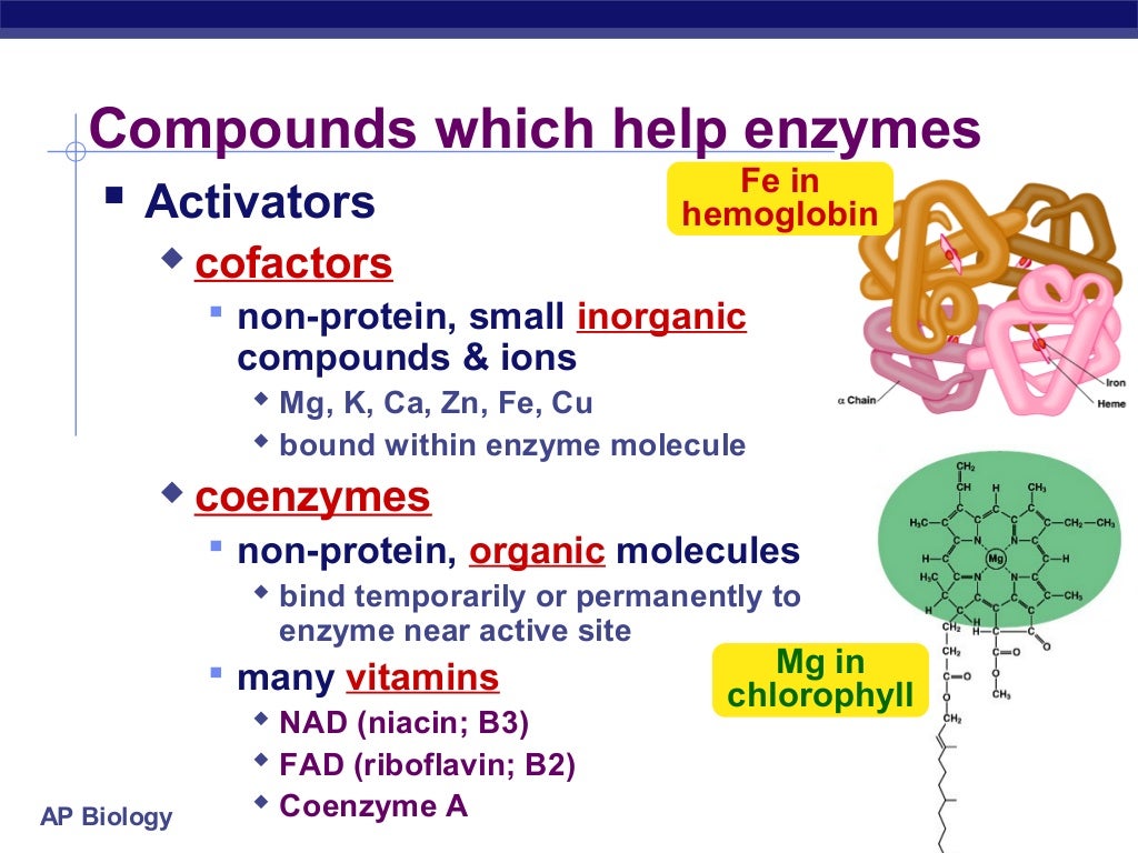 Enzymes