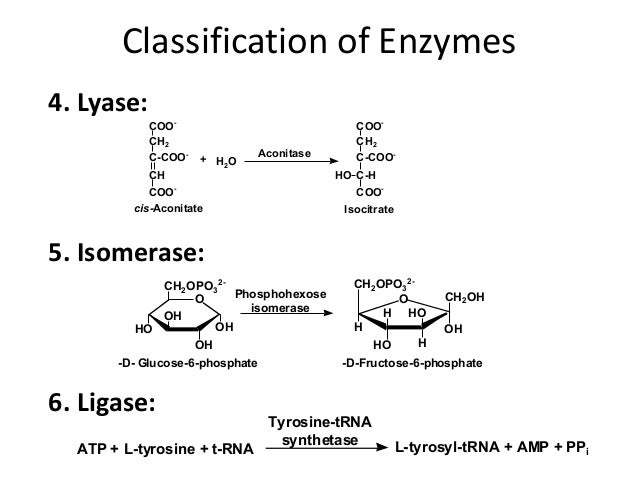 Enzymes