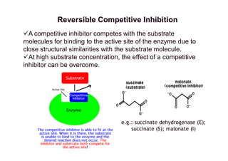 Reversible Competitive Inhibition Model Enzymes | PDF