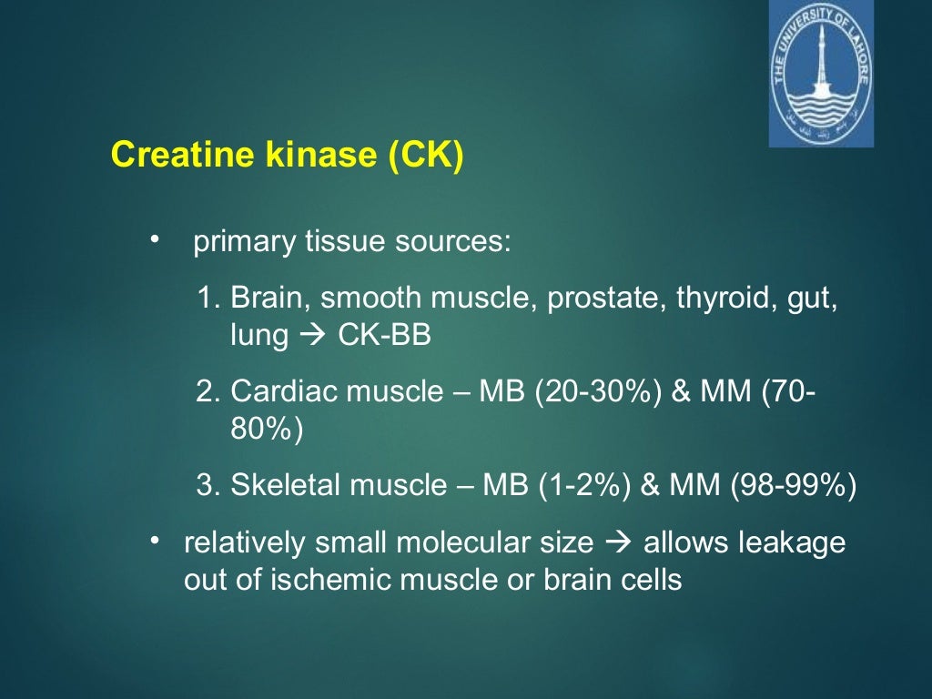 important of creatine kinase enzyme